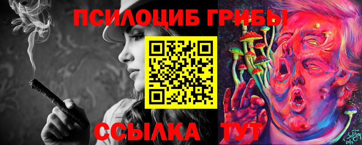 Галлюциногенные грибы GOLDEN TEACHER  Псилоцибиновые грибы мухоморы  Губаха  Вход с VPN 