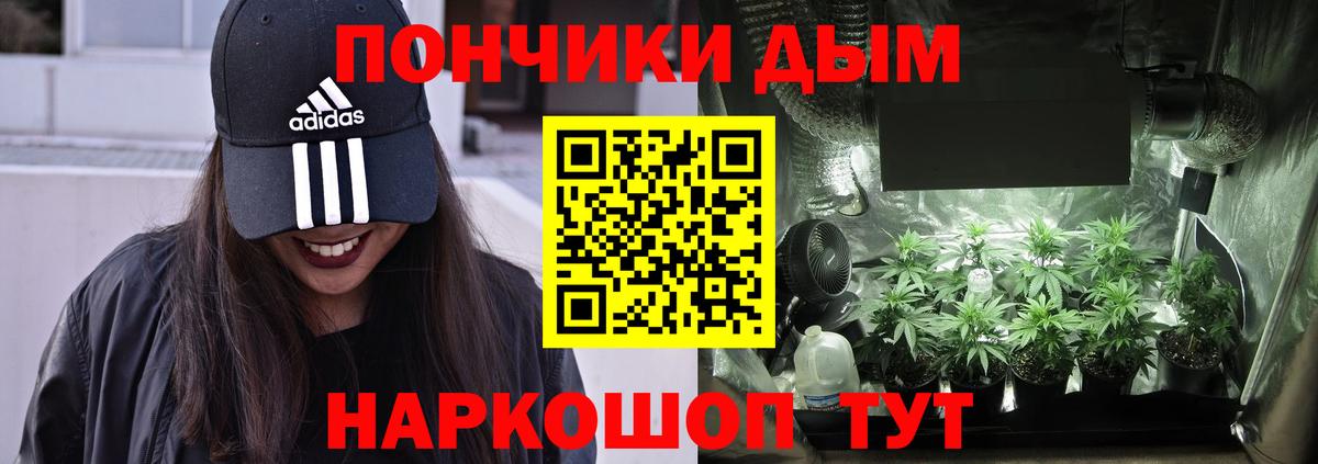 Бошки Шишки Amnesia Губаха